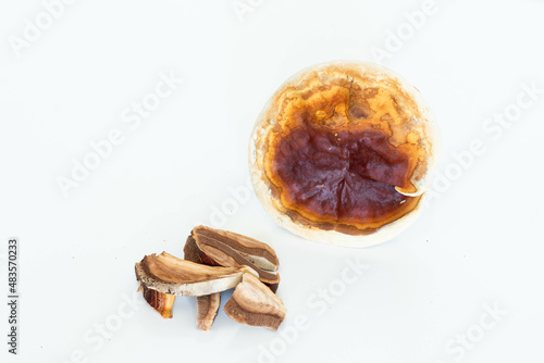 Pile of slice Dried Ganoderma Lucidum Mushroom isolated on white background. Ling Zhi Mushroom. Chinese traditional medicine photo