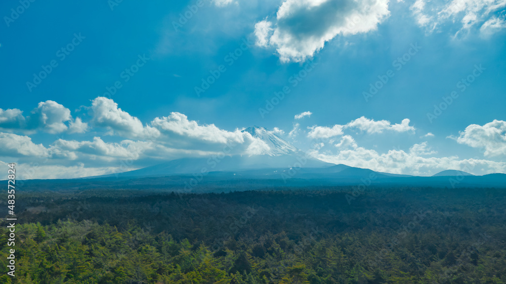 樹海と富士山の空撮