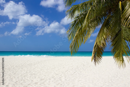 White sand of caribbean beach © elvirkin