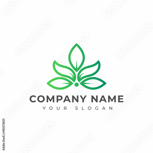 Herbal medical product logo design template