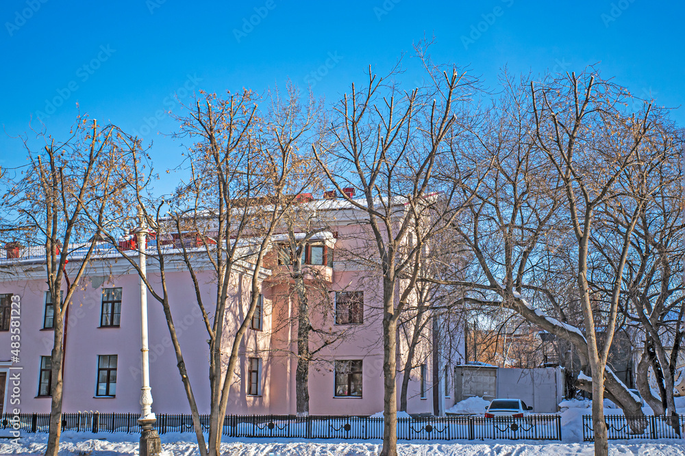 Obraz premium Trees with pruned branches on a cold winter day