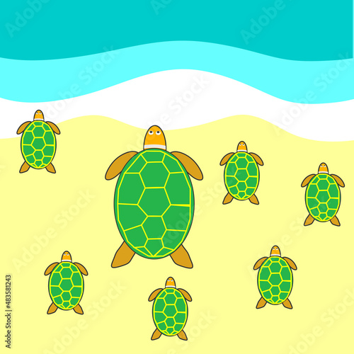 Mother turtle and her baby turtles heading to the beach to swim into the ocean