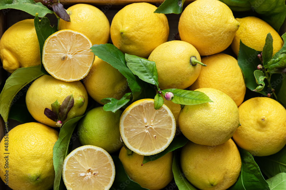 Fresh lemons with leaves in a basket