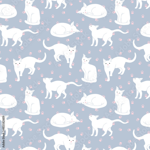 blue pattern white cats pink paws