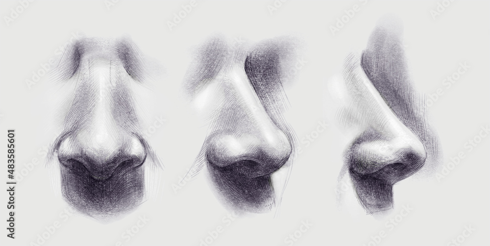 Drawing References and Resources | Drawing people, Nose drawing, Sketches | Nose  drawing, Drawing people, Sketches