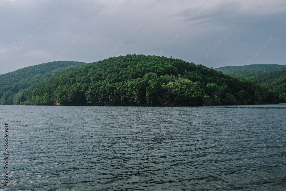 lake and forest lake and forest