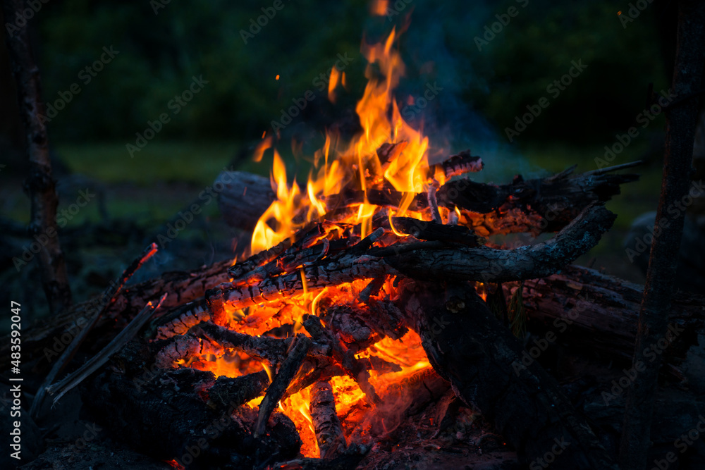 bright red flame of a campfire in the forests of Altai bright red flame of a campfire in the forests of Altai