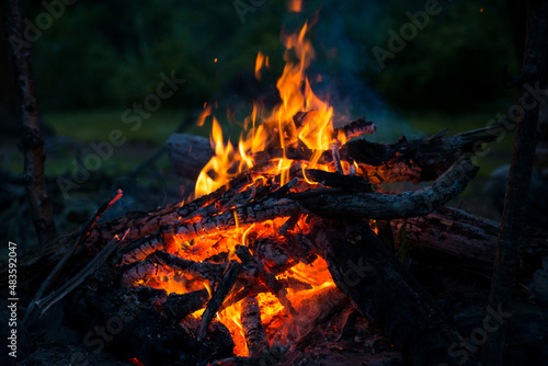 bright red flame of a campfire in the forests of Altai