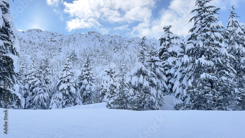 Fascinating winter landscapes in the mountains  nature  tranquility  scenery and picturesque images