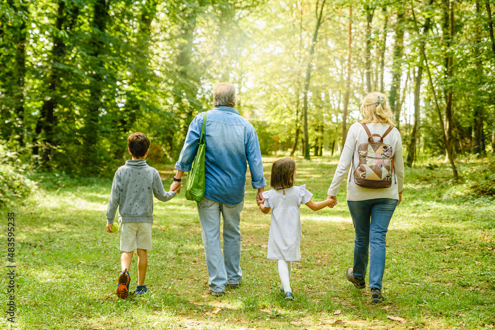 Fototapeta premium Grandchildren and grandparents walk hand in hand in green nature