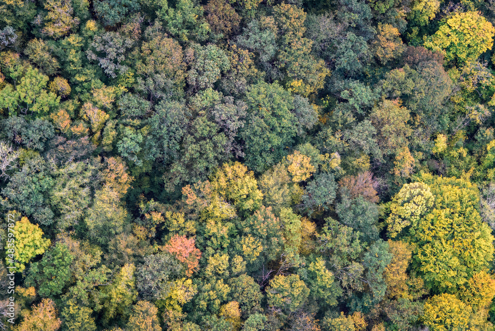 vue aérienne de la forêt à l'automne près de Lommoye dans les Yvelines en France vue aérienne de la forêt à l'automne près de Lommoye dans les Yvelines en France