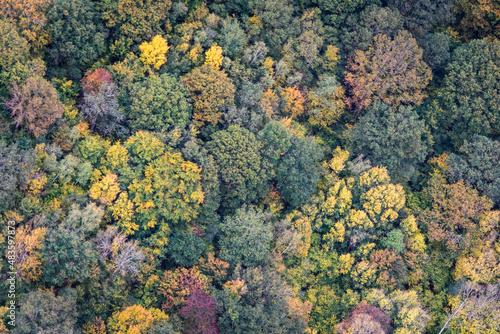 vue aérienne de la forêt à l'automne près de Lommoye dans les Yvelines en France