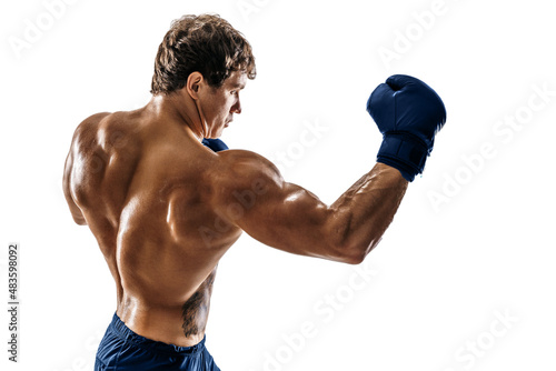 Side view of boxer in gloves who training and practicing uppercut on white background. sport concept