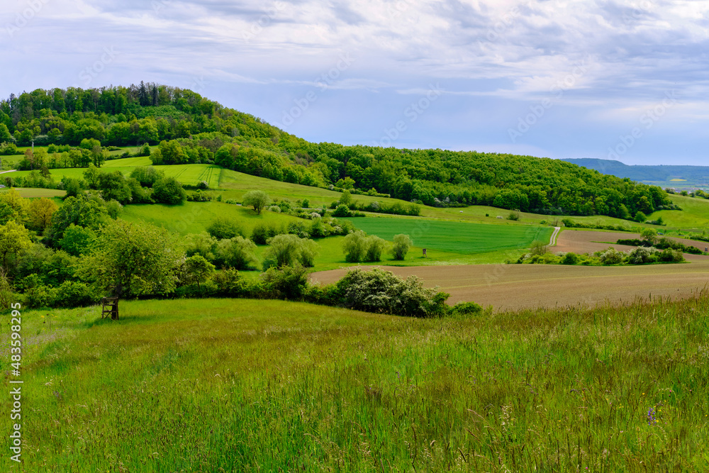 Landschaft im Naturschutzgebiet Hohe Wann zwischen Zeil am Main und Krum, Landkreis Hassberge, Unterfranken, Franken, Bayern, Deutschland