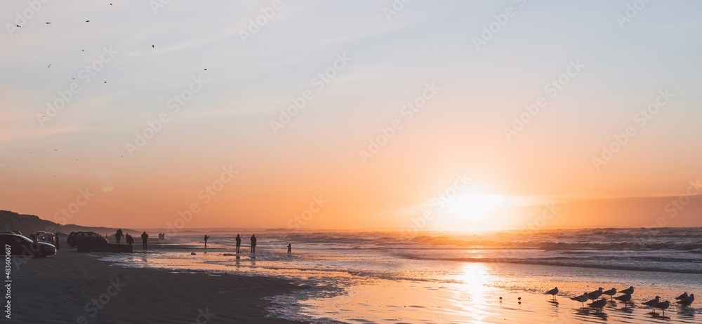 Blokhus landscape: people enjoying the surf of North Sea at beautiful pink sunset and taking photos, seagulls flying. Cars parked along the wide beach. Nordjylland (North Jutland Region), Denmark