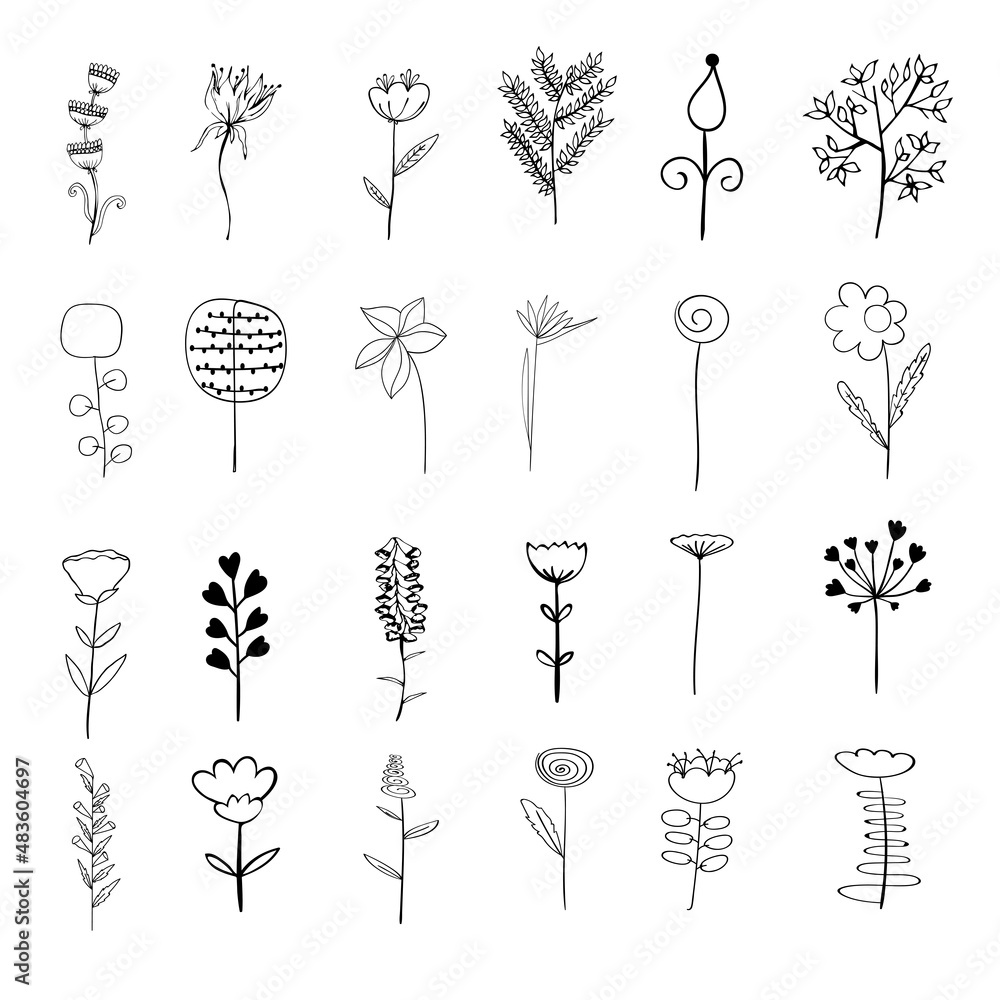 Vector elements. Set of plants and flowers. Outline sketched style. Vector elements. Set of plants and flowers. Outline sketched style.