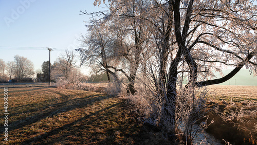Raureif an Bäumen auf Wiese kurz nach Sonnenaufgang