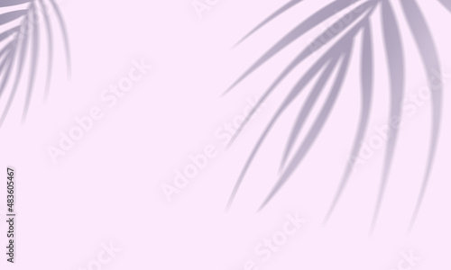 pink wall tropical leaves shadow background