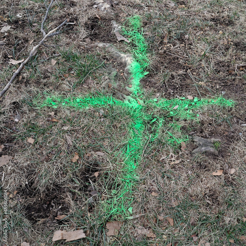 Green spray-painted utility markout identifying underground sewer or drain line. photo