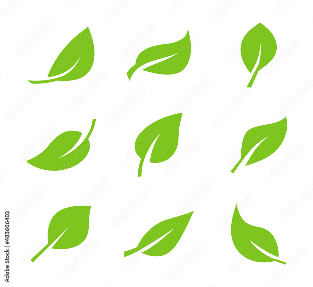 Set of green leaf icons. Leaves icon. Leaves of trees and plants ...