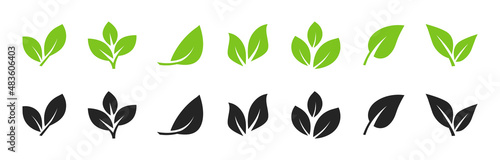 Set of leaf icons. Leaves icon. Leaves of trees and plants. Collection green leaf. Elements design for natural, eco, bio, vegan labels. Vector illustration.