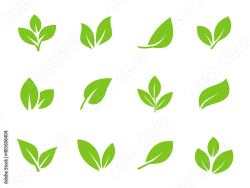 Set of green leaf icons. Leaves icon. Leaves of trees and plants. Collection green leaf. Elements design for natural, eco, bio, vegan labels. Vector illustration.