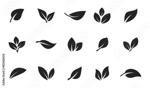 Set of leaf icons. Leaves icon. Leaves of trees and plants. Collection green leaf. Elements design for natural, eco, bio, vegan labels. Vector illustration.