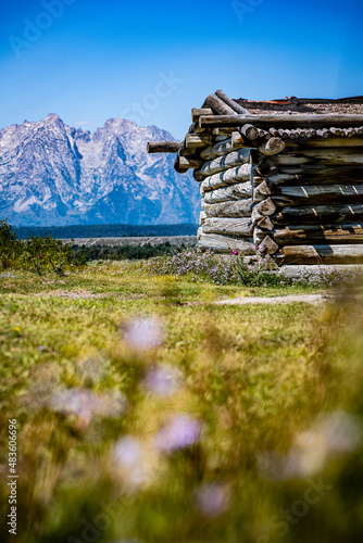 homestead in a mountain meadow