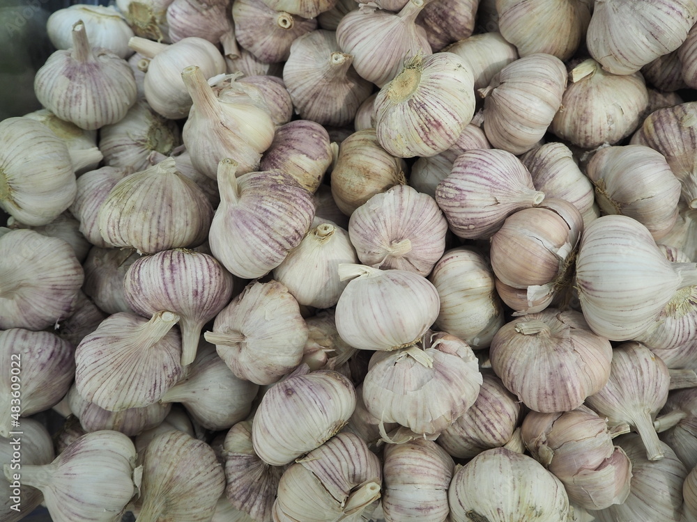 Garlic. Heads of garlic, full frame. High quality photo Garlic. Heads of garlic, full frame. High quality photo