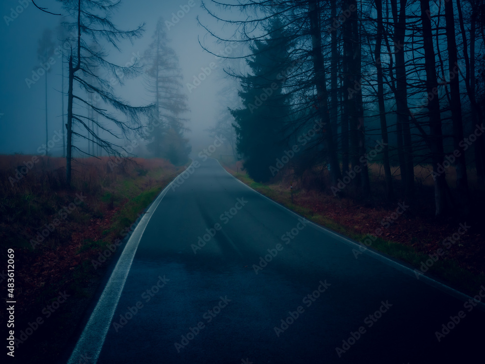 Fototapeta premium Asphalt road during foggy conditions, bad weather, fog, line, trees, autumn gloomy landscape. .