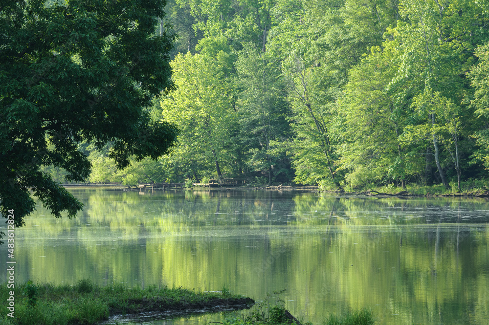 Peaceful wooded lake and shore, early morning Peaceful wooded lake and shore, early morning