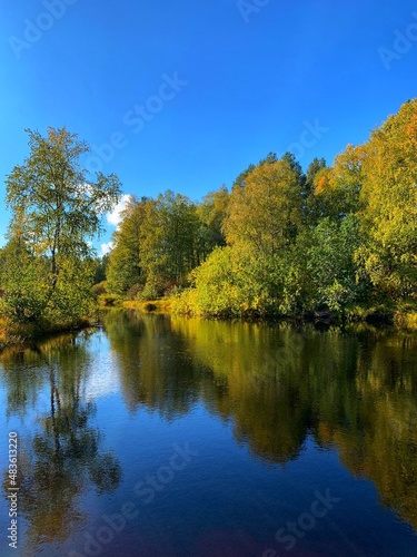 autumn in the park