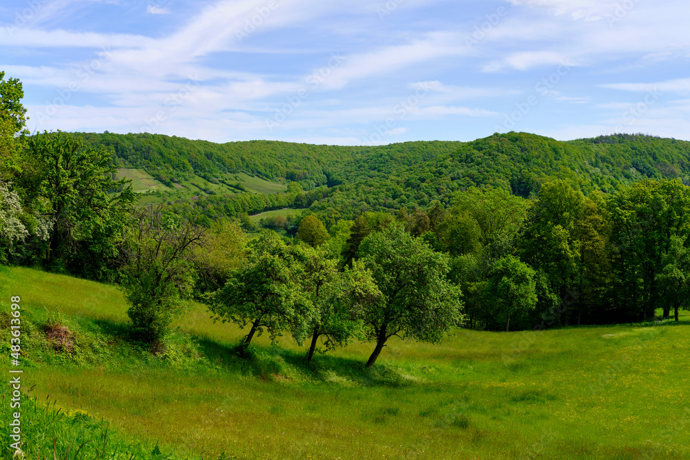 Foto de Landschaft im Naturschutzgebiet Hohe Wann zwischen Zeil am Main