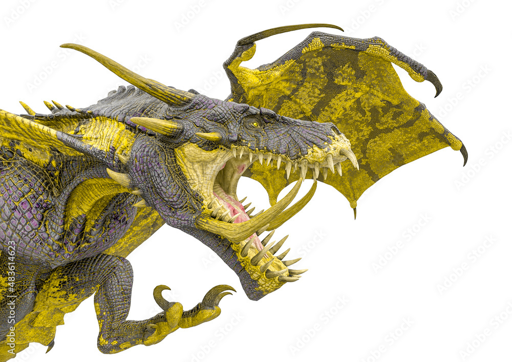 Fototapeta premium master dragon in white background close up