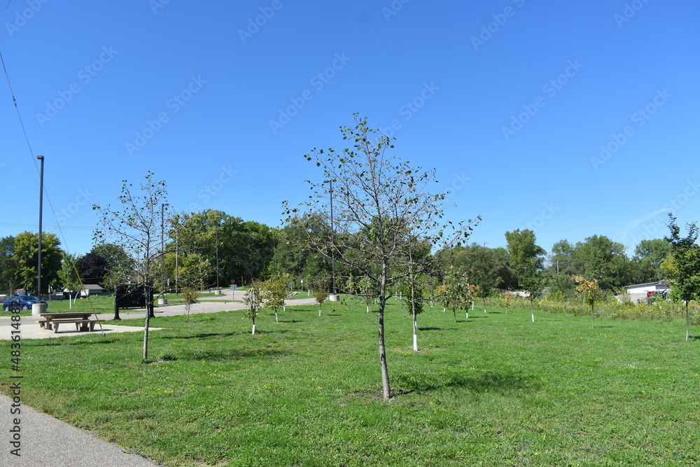 Obraz premium Trout Brook Nature Sanctuary a Summer Experience