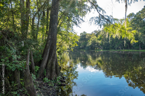 Santa Fe River Poe Springs  Gilchrist County  Florida