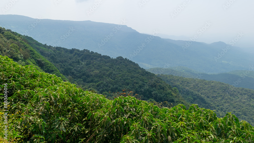 Naklejka premium Kolhapur-Goa Scenic Valleys at Amboli Ghat in Winter season