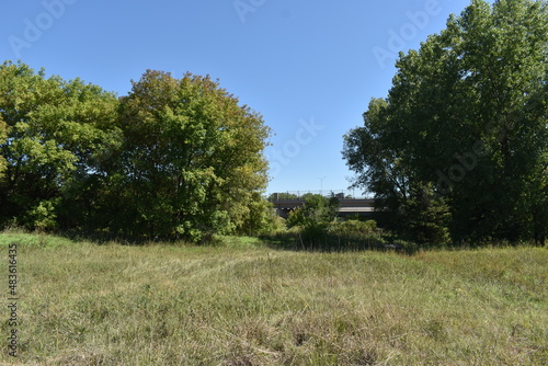 Trout Brook Sanctuary a Summer Experience