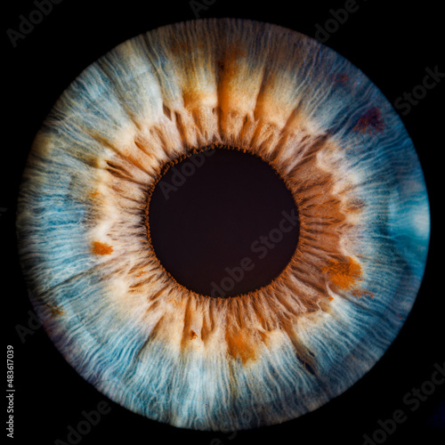 close up of a blue brown eye