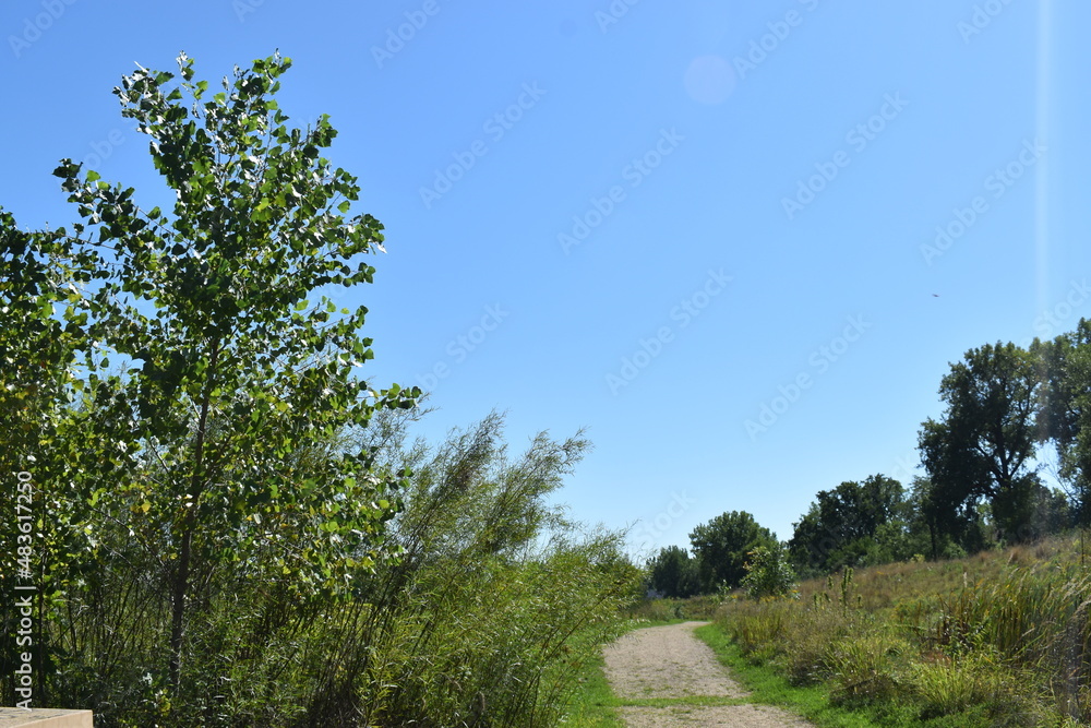 Obraz premium Trout Brook Sanctuary a Summer Experience