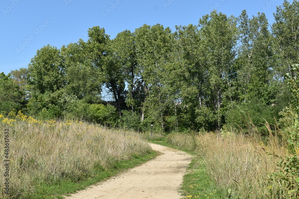 Trout Brook Sanctuary a Summer Experience Trout Brook Sanctuary a Summer Experience