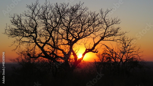 African Sunset