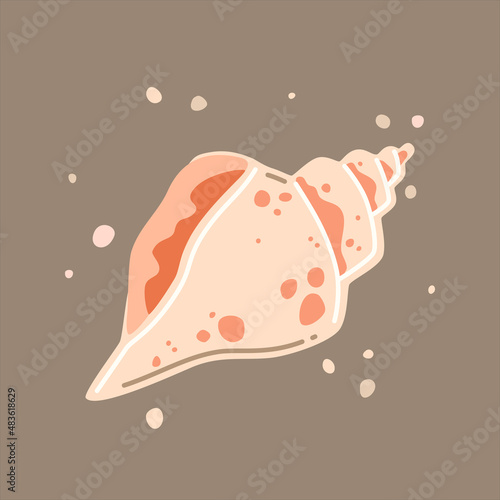 Pink spotted sea shell. Vector flat illustration photo