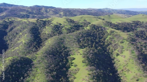 Green grass and oak trees cover the rolling hills and valleys of the Tri-valley area of Northern California, just east of San Francisco Bay. This beautiful region is known for its many vineyards. photo