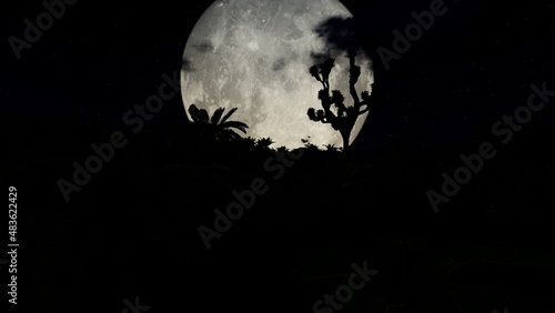 Trees with full moon in the background in night time, 3D