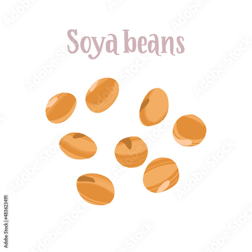 Healthy nutrition product. Fresh tasty soya beans.