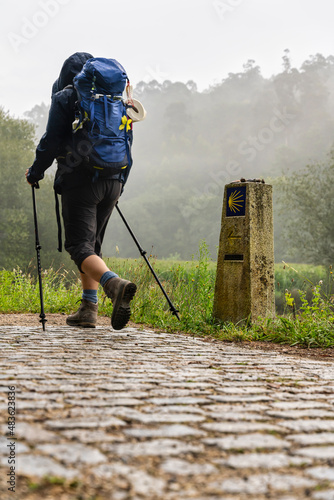 pilgrim walking on the way to St James (Santiago) on a foggy day in Galicia.