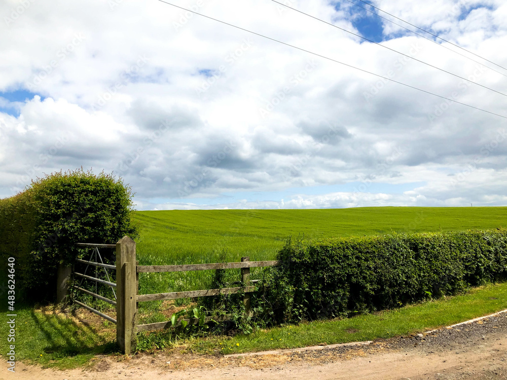 Field and Gate