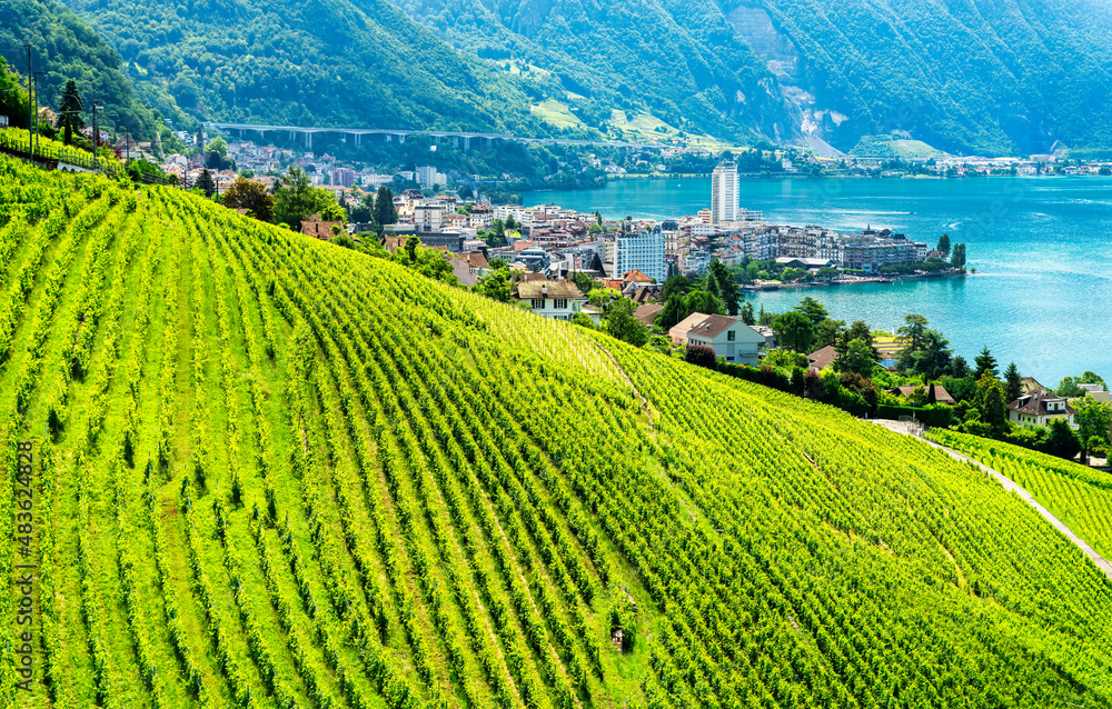 view of Veytaux in Switzerland and its terraced vineyards on the shore of Lake Geneva.