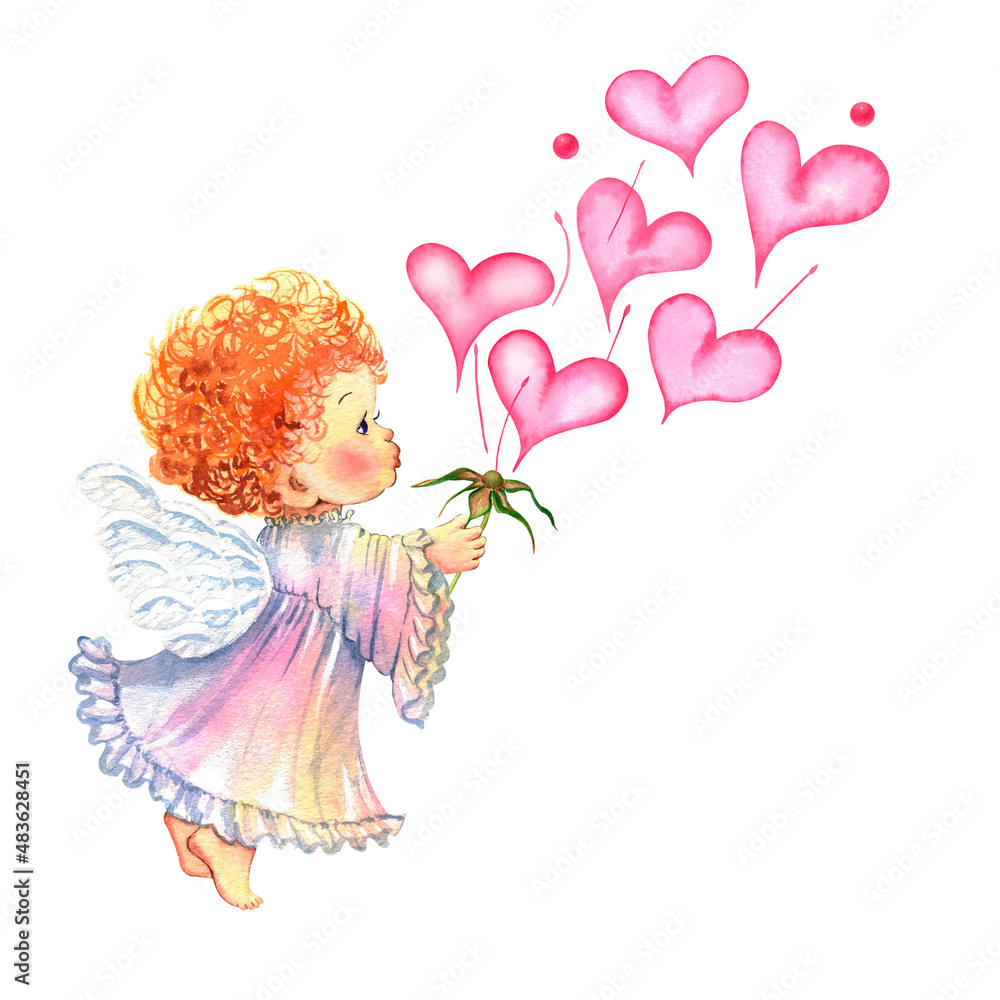Fototapeta premium Pink rosy soft gentle flowers heart-shaped watercolor picture cupid angel hearts hand drawn Valentines Day wedding love